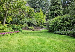 Optimiser l'expérience du jardin à Blieux